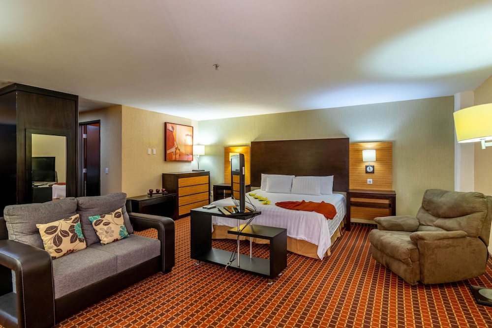 Junior Studio Suite