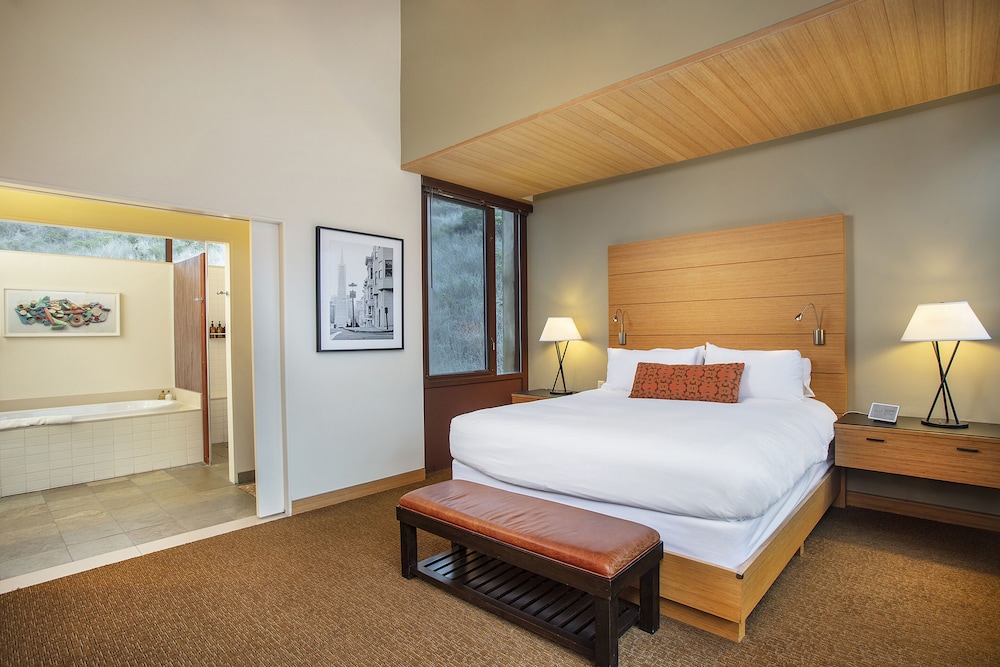 Suite, 1 King Bed (Contemporary ADA) - Photo 2