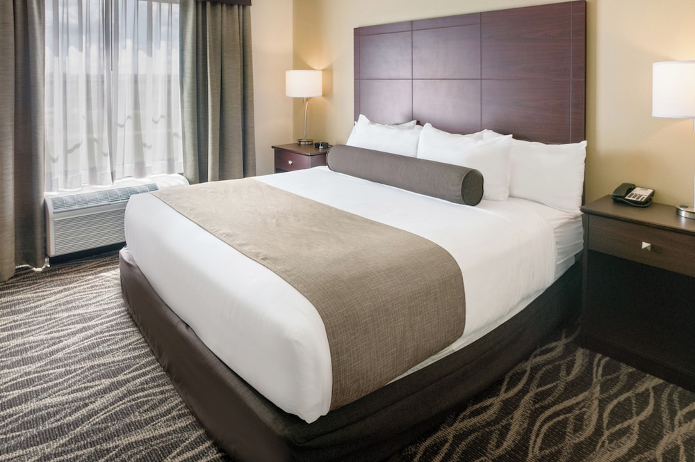Accessible Room, 1 King Bed, Benched Tub, Non Smoking photo 3