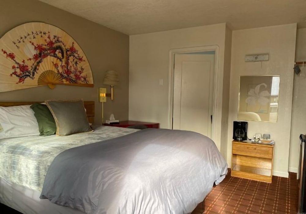 Basic Single Room
