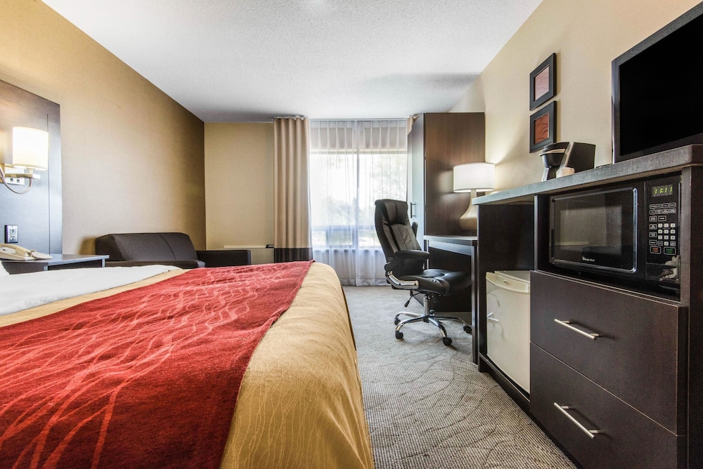Comfort Care, Standard Room, 1 Queen Bed with Sofa bed, Non Smoking