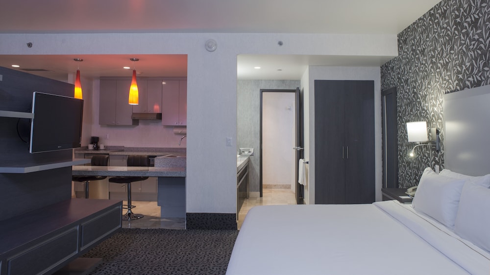 Studio Suite, 1 King Bed, City View photo 1