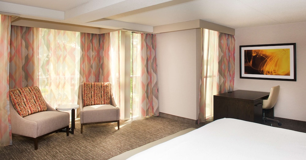 Suite, 1 Bedroom - Photo 1