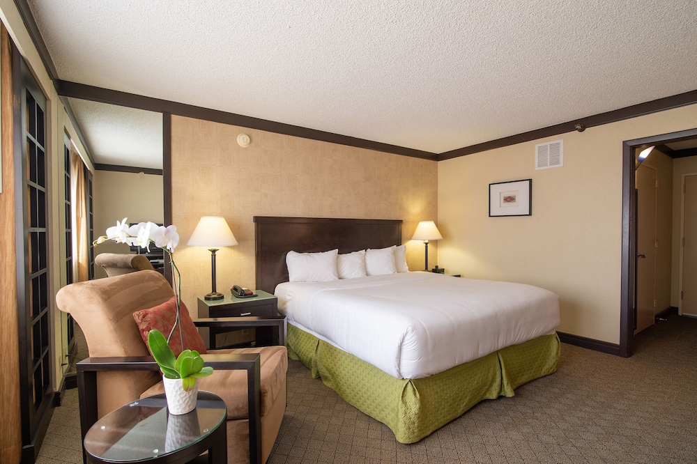 Executive Room, 1 King Bed (Executive King)