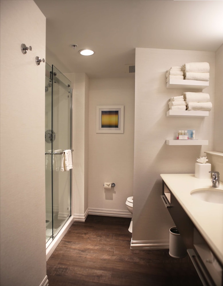 Room, 1 King Bed, Accessible, Non Smoking (Roll In Shower)