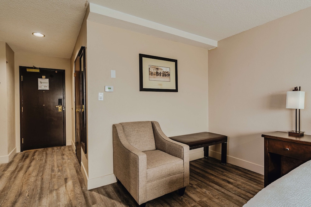 Standard Room, 1 King Bed, Accessible, Refrigerator & Microwave - Photo 2