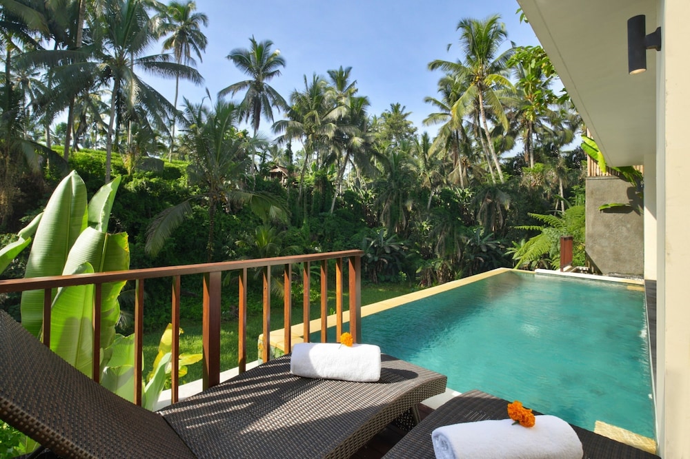 One Bedroom Private Pool Villa With Forest View