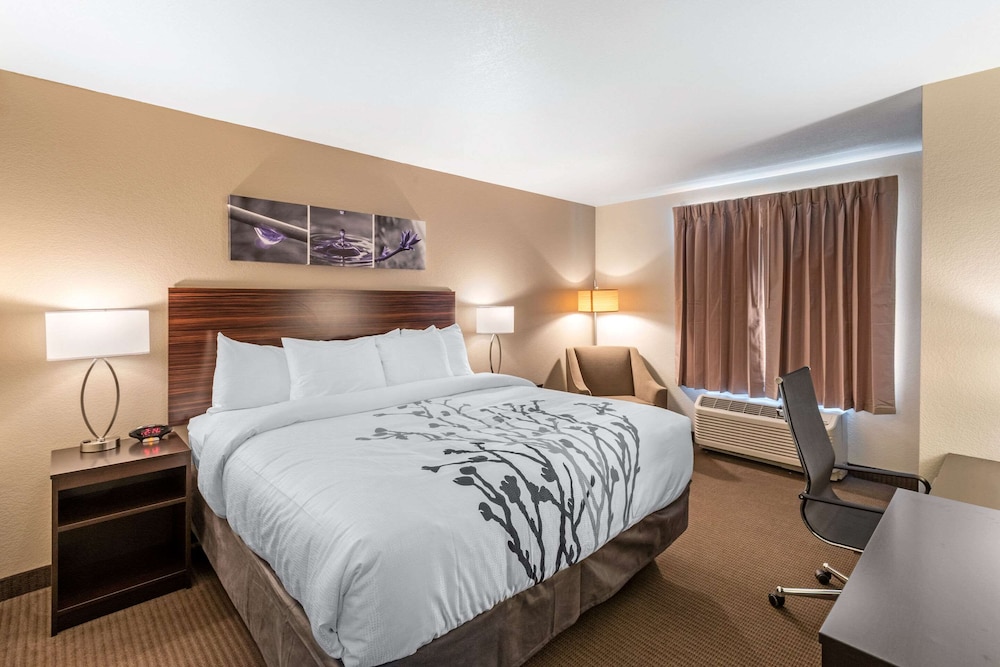 Suite, 1 King Bed, Non Smoking