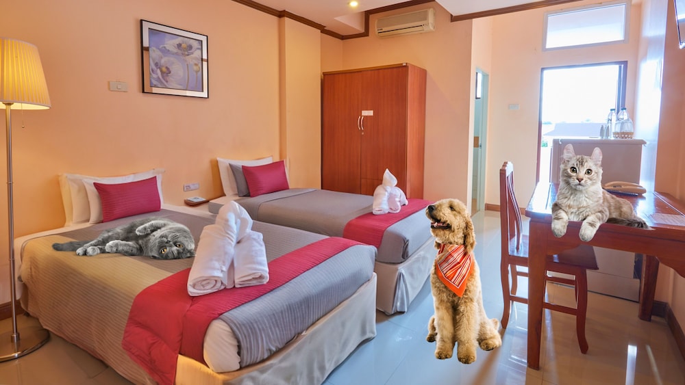 Comfort Twin Room