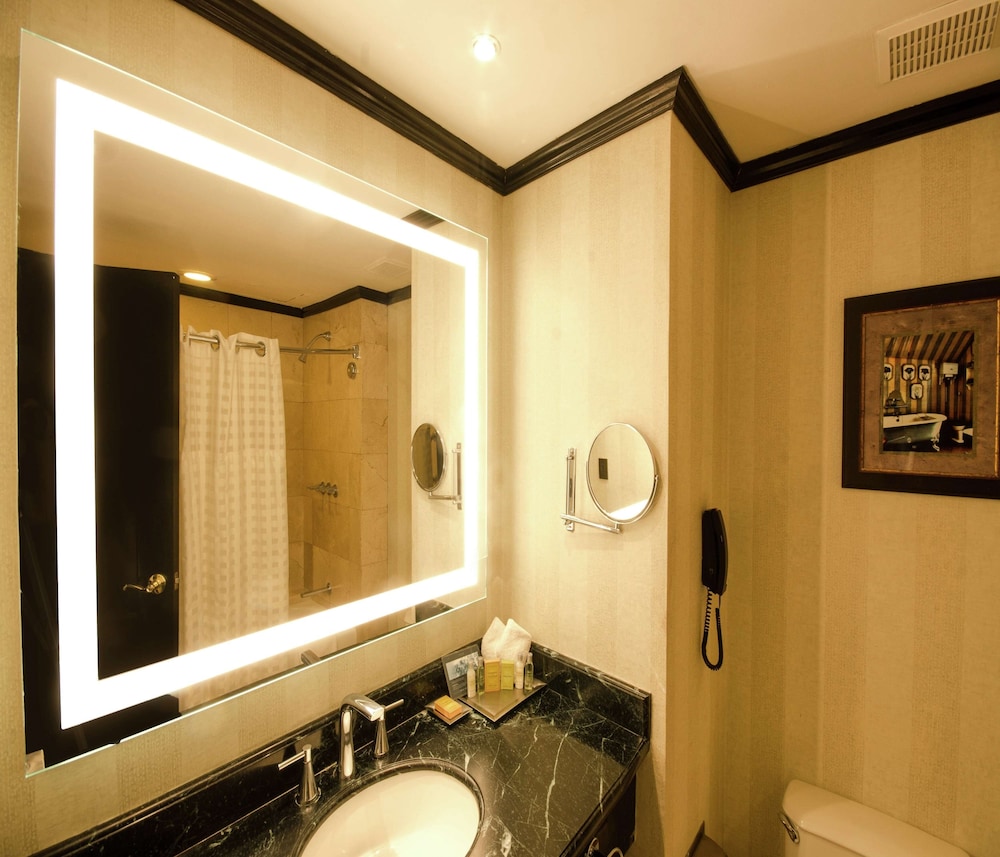 Room, 1 King Bed, Accessible - Photo 4