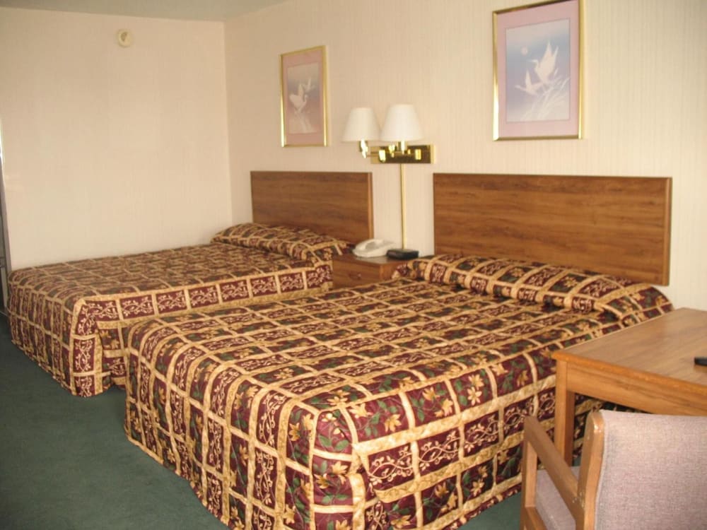 Standard Double Room, 2 Double Beds Pet Friendly photo 1