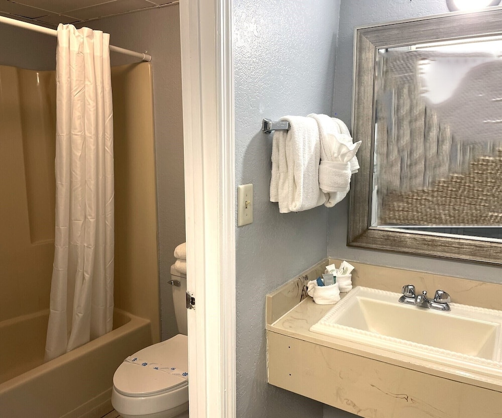 Blue Palmetto Vacation Rentals, Billede 3