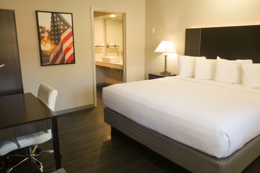 King Queen Queen Pet Friendly Suite photo 3