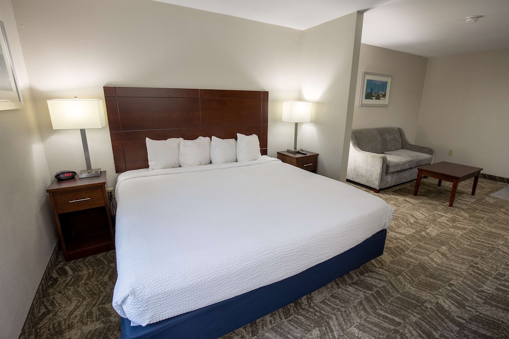Standard Room, 1 King Bed, Accessible, Non Smoking - Photo 2