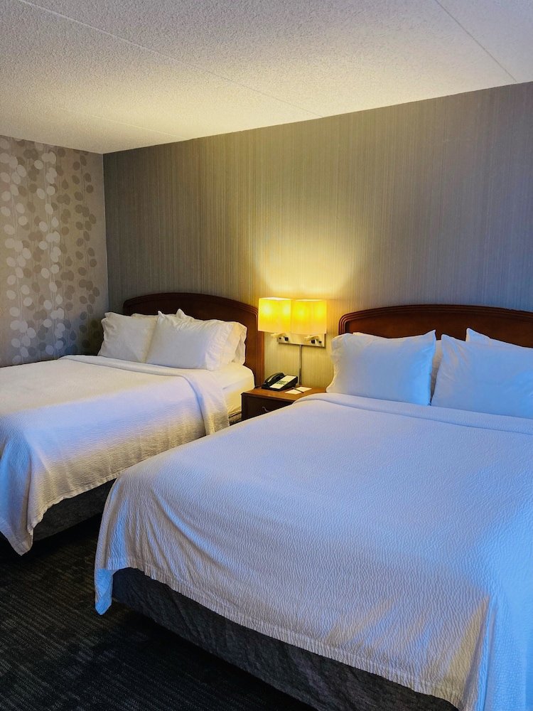 Room, 2 Queen Beds - Photo 5