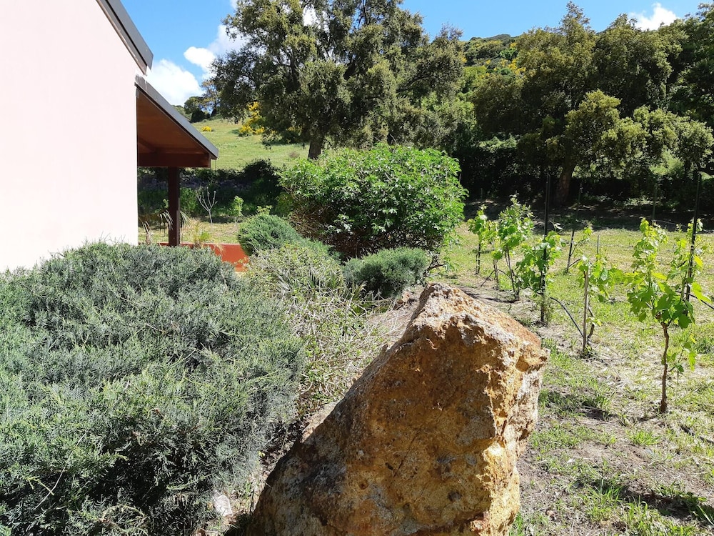 Alghero Rural Relax Privé Confort Exclusif Villa Laurus, Photo 26