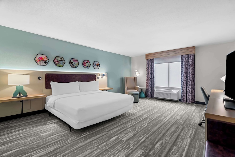 1 King Bed, Accessible photo 1