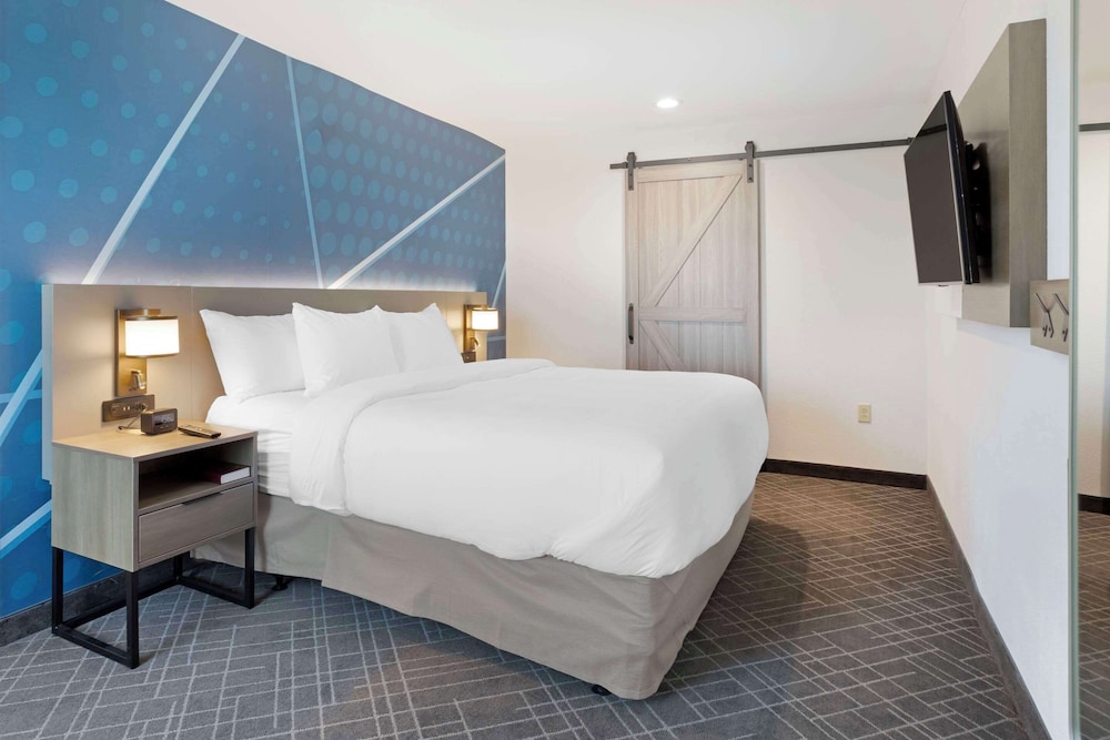 Superior Suite, 1 King Bed with Sofa bed, Non Smoking (Upgrade) - Photo 3