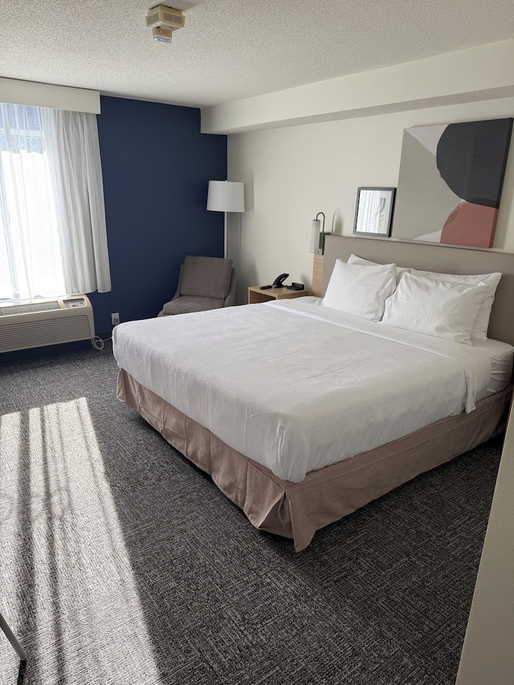 Comfort Suite, 1 King Bed, Accessible Bathtub, Bathtub (Mobililty)