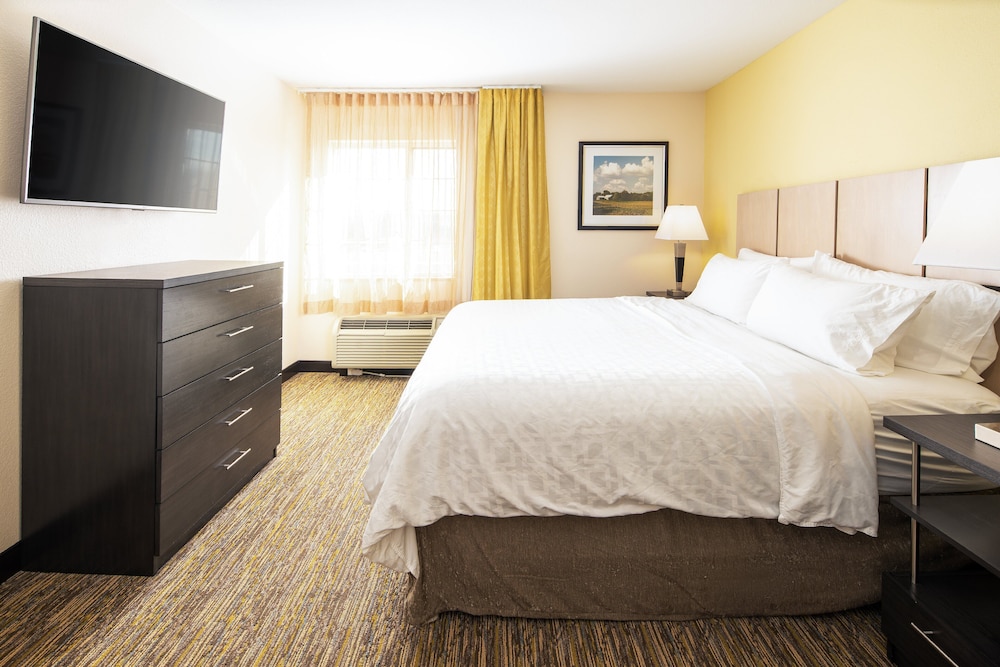 Suite, 1 Bedroom - Photo 4