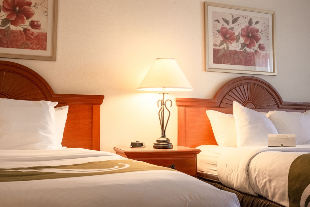 Standard Room, 2 Queen Beds, Refrigerator - Photo 8