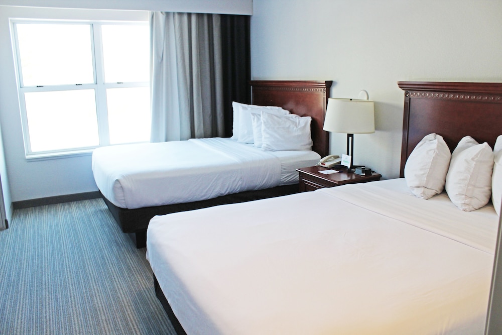 Double Queen 1 Bedroom Handicap - Photo 1