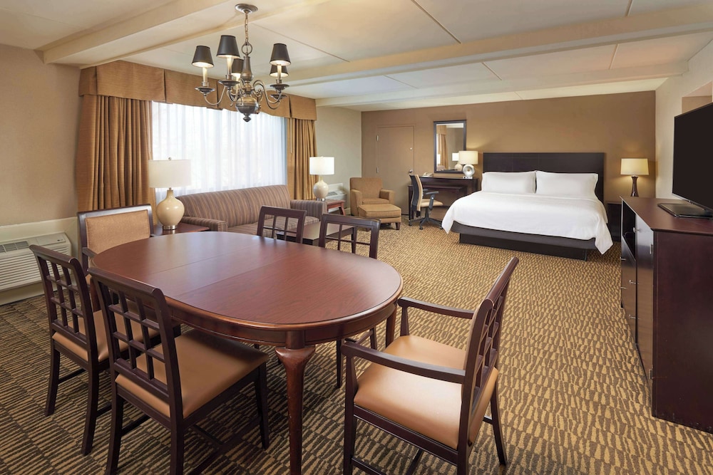 Suite, 1 King Bed with Sofa bed, Non Smoking photo 2