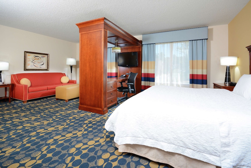 Studio, 1 King Bed, Accessible (Mobility & Hearing, Roll-in Shower) - Photo 3