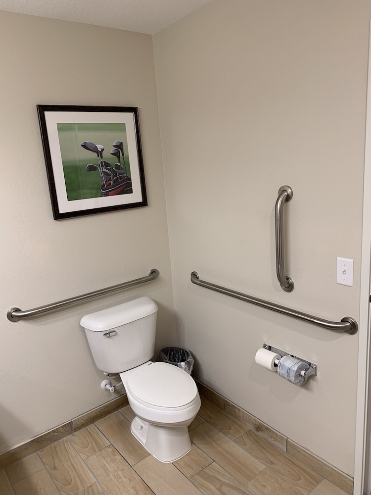 Suite, 1 King Bed, Accessible, Non Smoking (Mobility, Roll-in Shower) photo 2