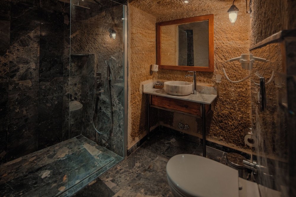 Deluxe Room - Photo 5