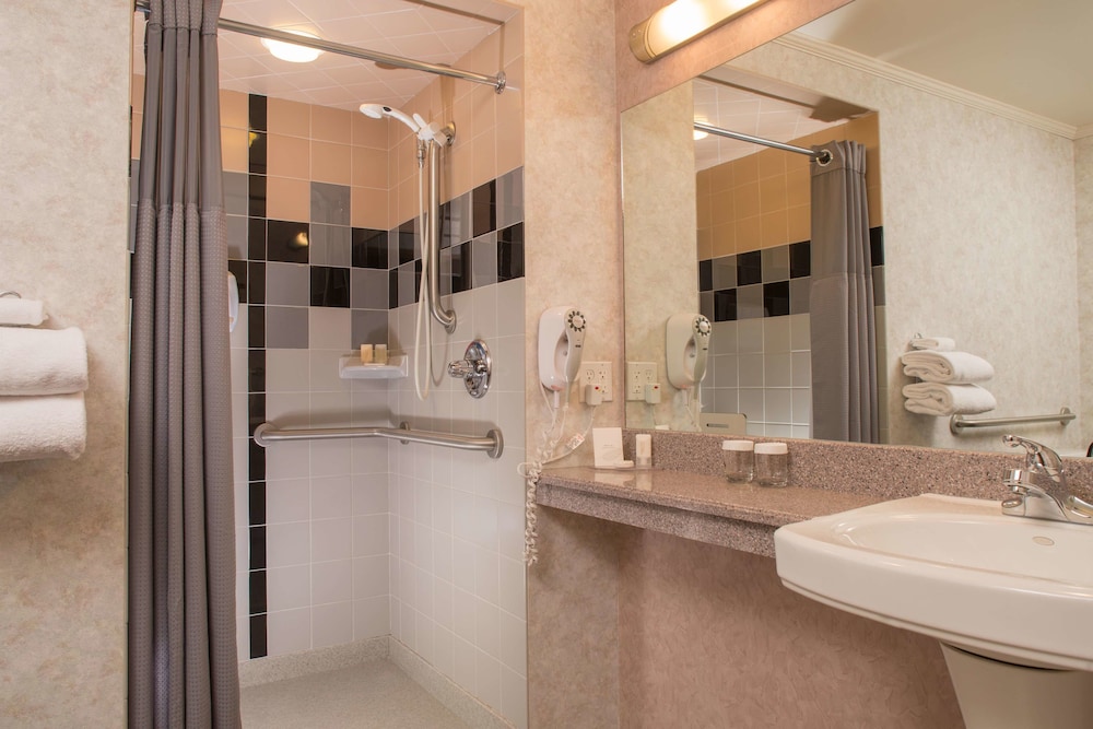 Deluxe Room, 1 King Bed, Accessible photo 3