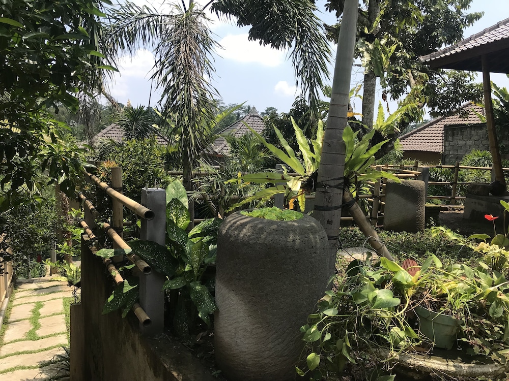 Deluxe Room, 1 King Bed, Non Smoking, Mountain View