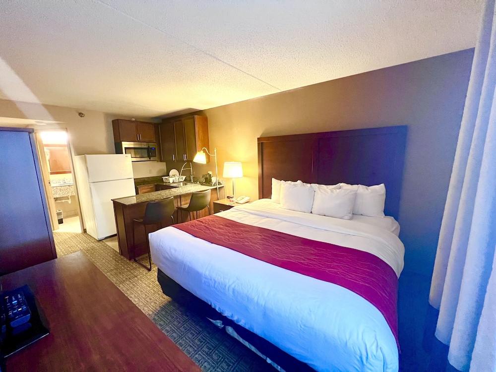 Suite, 1 King Bed, Non Smoking photo 2