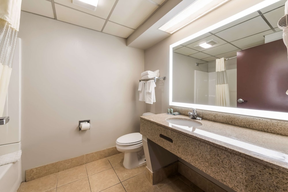 Standard Room, 1 King Bed, Accessible, Refrigerator & Microwave photo 2