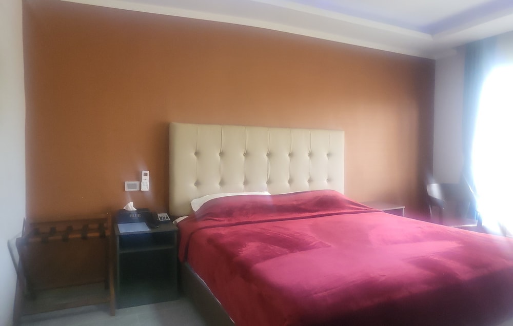 Deluxe Double Room Single Use, 1 King Bed photo 3