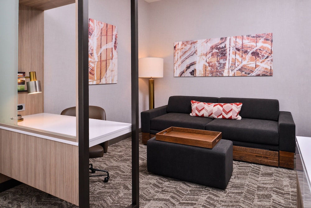 Suite, 1 King Bed with Sofa bed (Mobility Accessible, Tub) photo 3