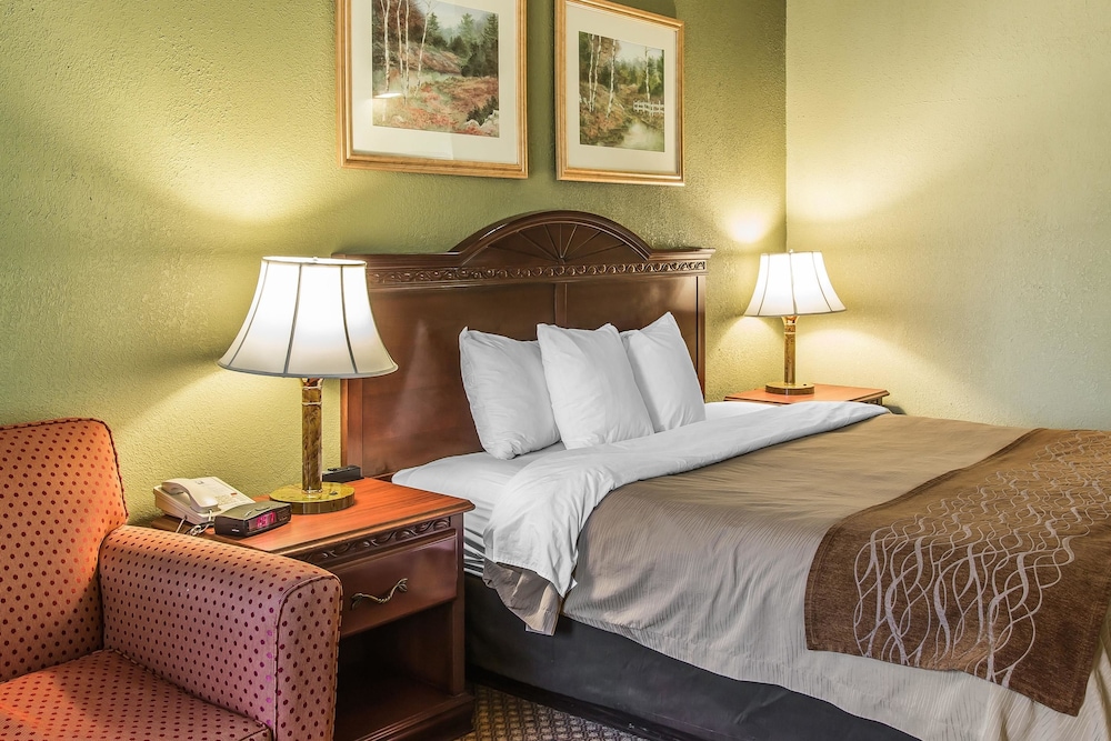 Standard Room, 1 King Bed, Non Smoking - Photo 1