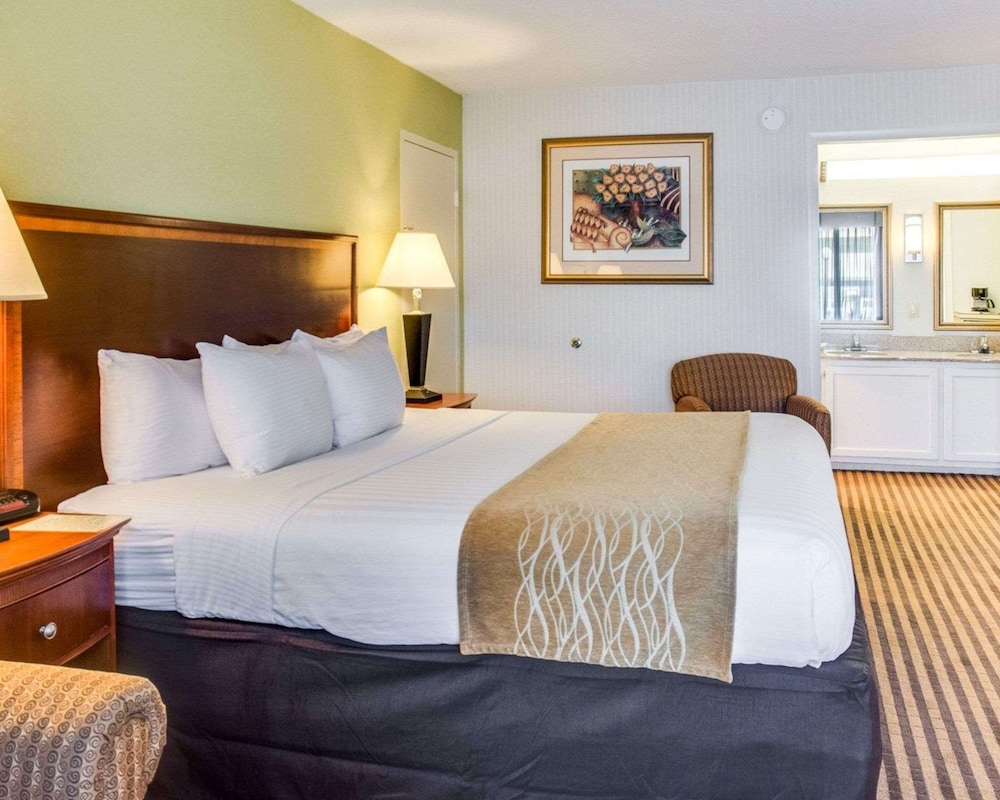 Room, 1 Queen Bed, Accessible, Non Smoking - Photo 1