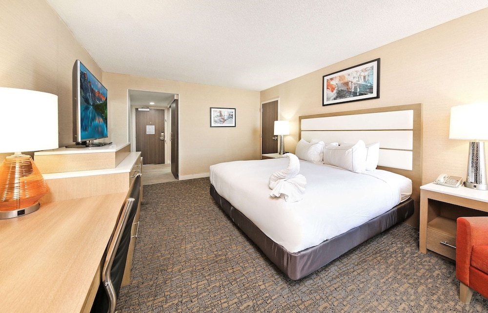 Suite, 1 King Bed, Non Smoking