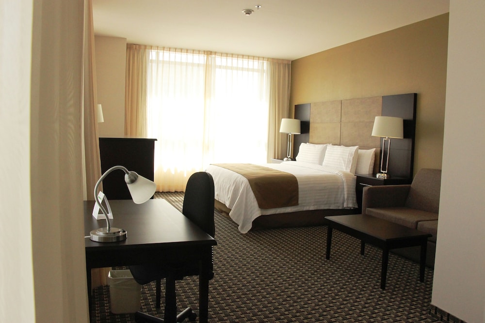Suite, 1 King Bed