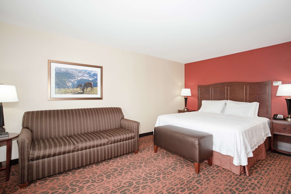 Room, 1 King Bed, Accessible, Non Smoking