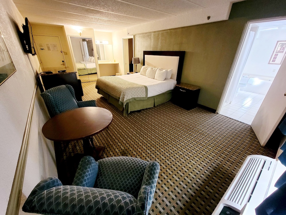 Suite, 1 King Bed photo 1
