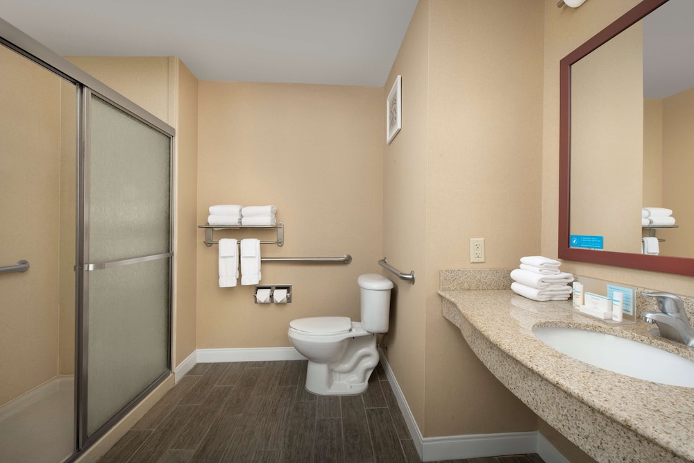 Suite, 1 King Bed, Accessible (Roll-In Shower) - Photo 5