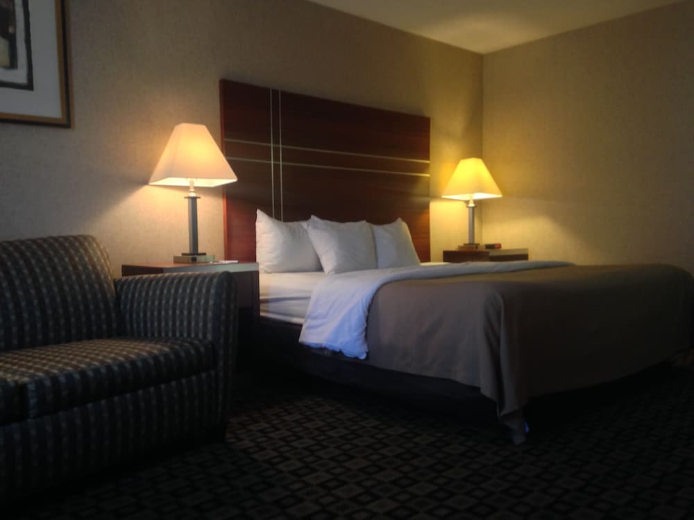 Standard Room, 1 King Bed - Photo 1
