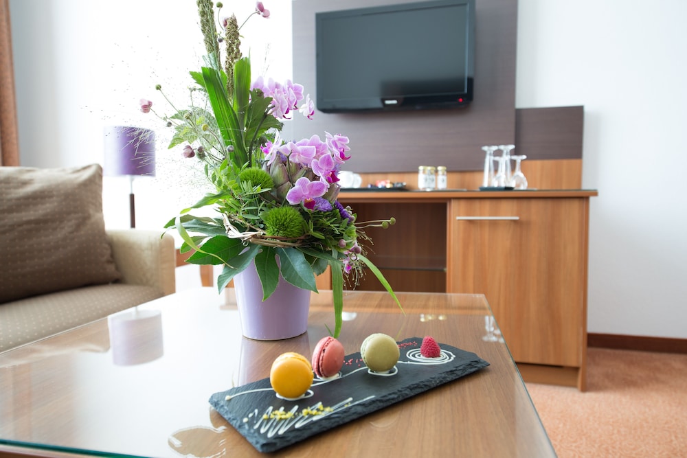 Comfort Suite - Photo 4