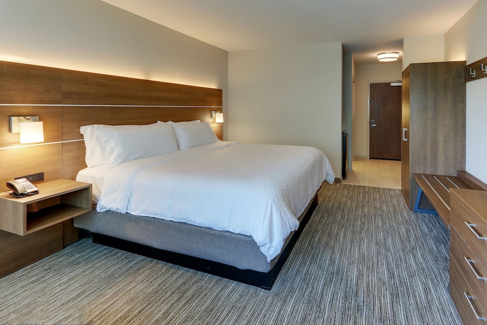 Room, 1 King Bed, Accessible (Roll-In Shower, Extra Floor Space) - Photo 7