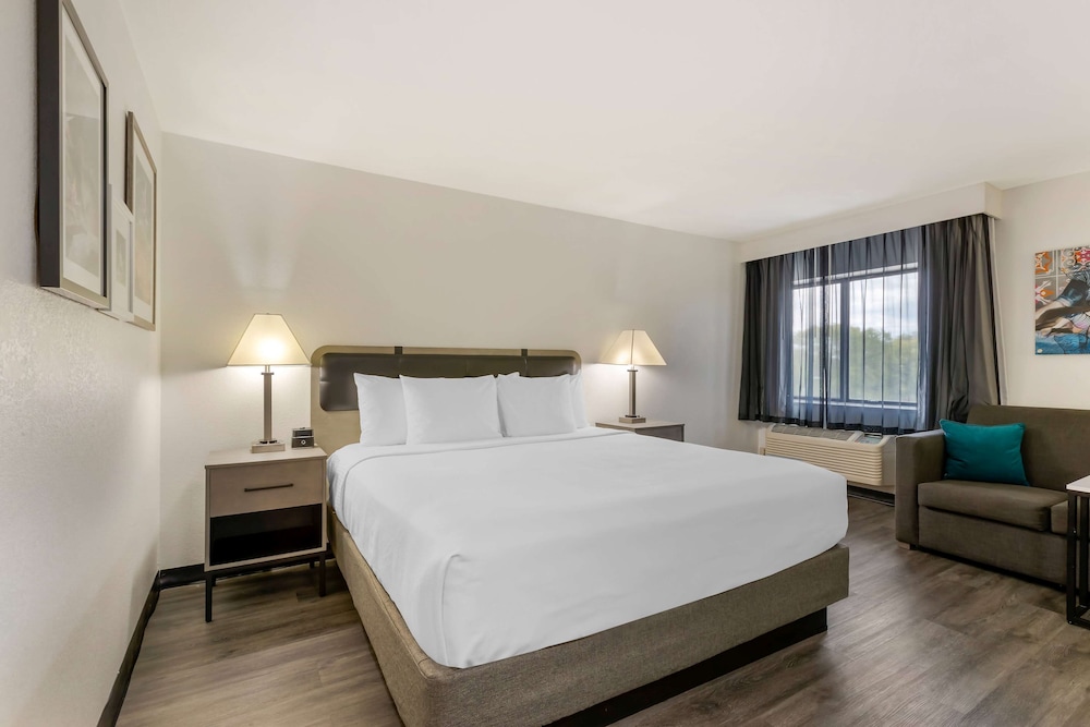 Deluxe Studio Suite, 1 King Bed, Non Smoking photo 3