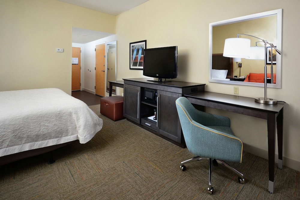 Room, 1 King Bed, Accessible (Roll-in Shower) photo 2
