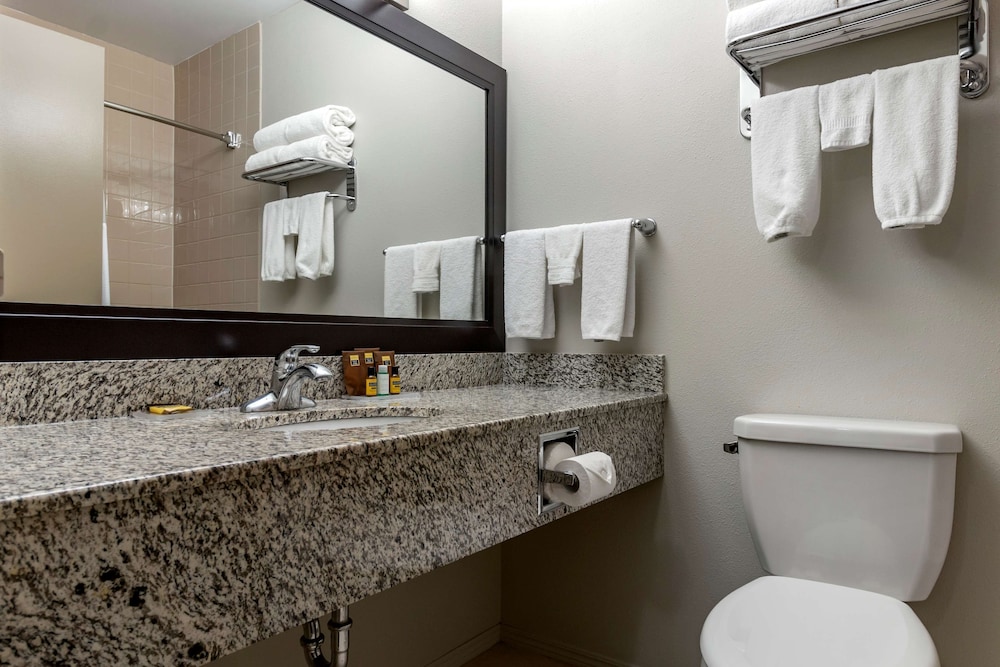 Deluxe Suite, 1 Queen Bed, Non Smoking, Refrigerator & Microwave (with Sofabed) - Photo 5