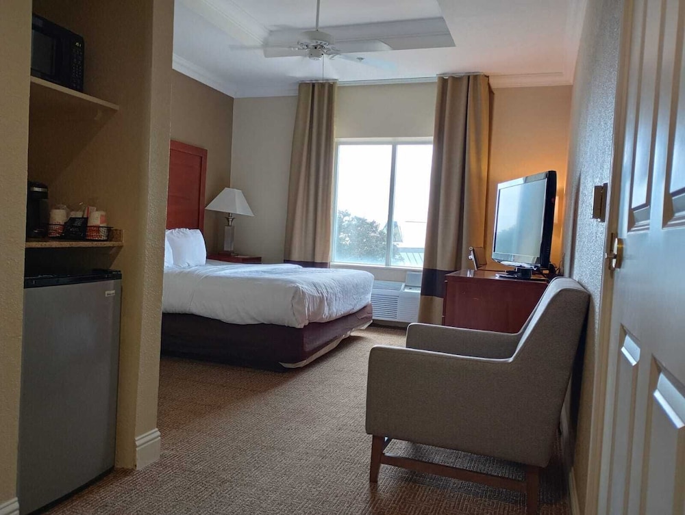 Basic Room, 1 King Bed photo 3